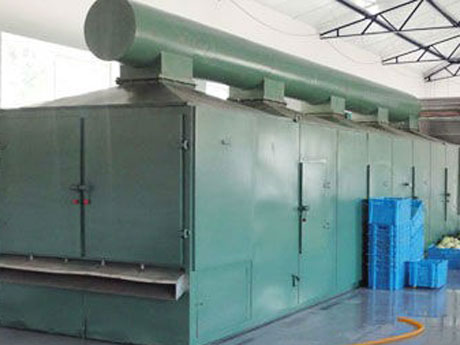 芒果（guǒ）烘幹機